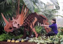 Leap back in time at RHS Garden Wisley's prehistoric Houseplant Takeover