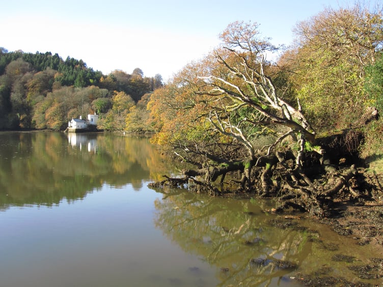 Dart estuary