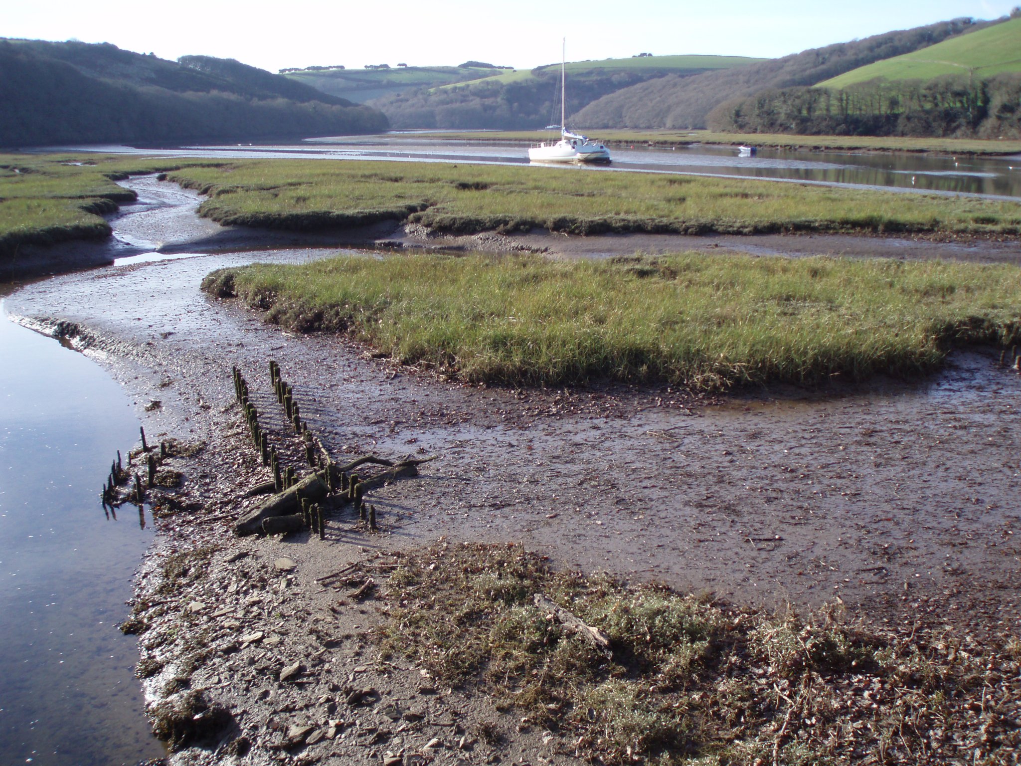 Avon Estuary