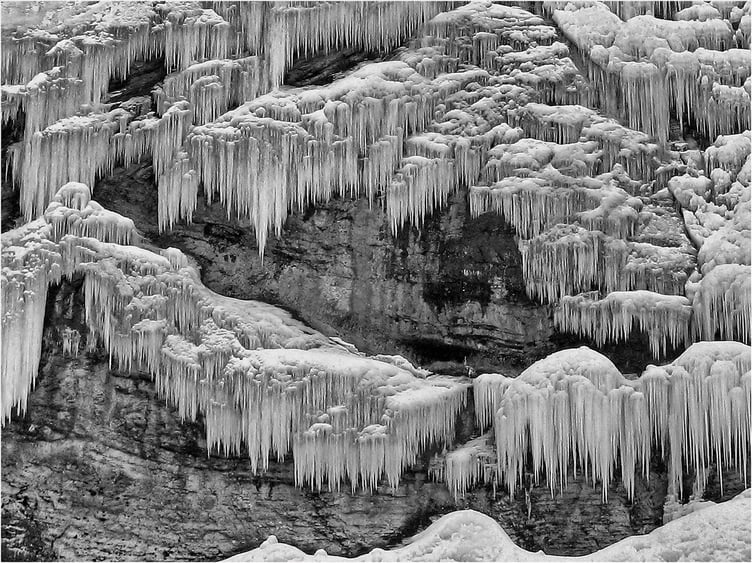 Photo: Jill Toman