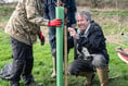Faulkland  Wilding Project well underway