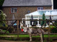 <p>The Donkey pub in Elstead will close its doors for good on March 10</p>