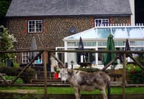 Fascinating history of soon to be closed Donkey pub near Farnham where steam engine once crashed