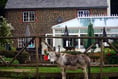 Last eeyorders: The Donkey pub in Elstead announces permanent closure