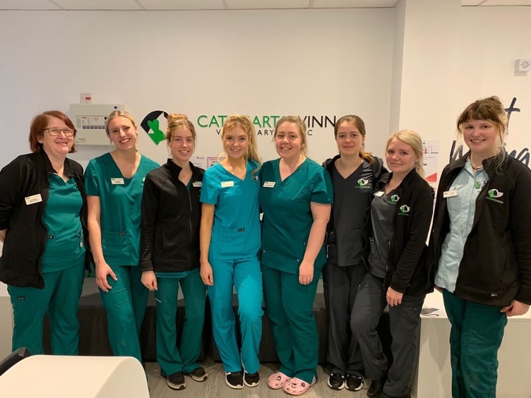 Cathcart & Winn vets in Farnham is hosting an open day this weekend