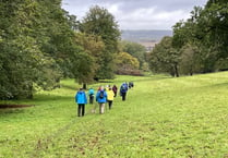 Alton Walking Festival: Gearing up for a feast of walking from April