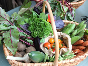 Farnham Community Farm: Forgot the roses? Make it up to her with veg!