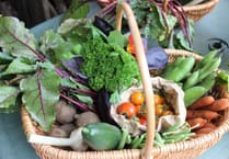 Farnham Community Farm: Forgot the Valentine's roses? Make it up to her with vegetables!