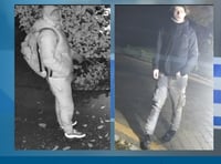 <p>Officers would like to speak to this pair after an attempted burglary in Farnham last month</p>