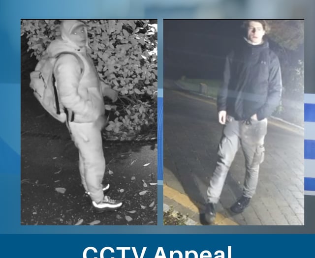 Police issue CCTV images of duo after attempted Farnham burglary