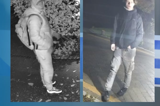 Officers would like to speak to this pair after an attempted burglary in Farnham last month