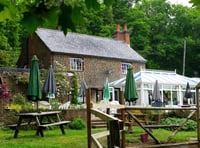 What next for The Donkey as little interest shown in pub near Elstead