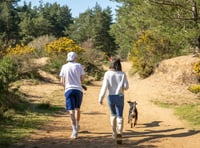 <p>A Family Duathlon will take place at Hogmoor Inclosure this weekend.</p>