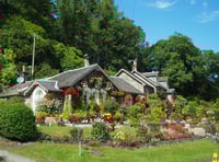 <p>Experts say that early spring is when you should start preparing your garden for summer. </p>