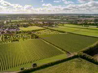 <p>Walks at the inaugural Rail to Trail Walking Festival range from a circuit of ‘Beautiful Bentley’ (pictured) to an introduction to foraging, a walk across three commons between Liphook and Haslemere, a pilgrimage to The Poet Stone near Petersfield and much more</p>