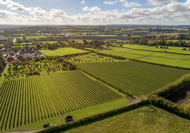 Feedback sought on Bentley Neighbourhood Plan update