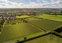 Feedback sought on Bentley Neighbourhood Plan update