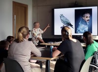<p>Paul Harfleet will be teaching workshop participants how to draw a bird at the Alton Arts Festival</p>