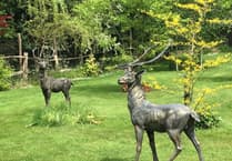 Warning issued after large bronze stag statues stolen