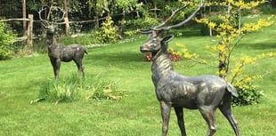 Bronze sculptures and statues being targeted by thieves, warn police