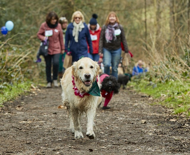 Dog owners asked to take on walking challenge for cancer research