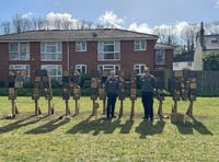 Bug hotel inspired by Hollywood sign unveiled in town meadow