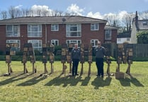 Bug hotel inspired by Hollywood sign unveiled in town meadow