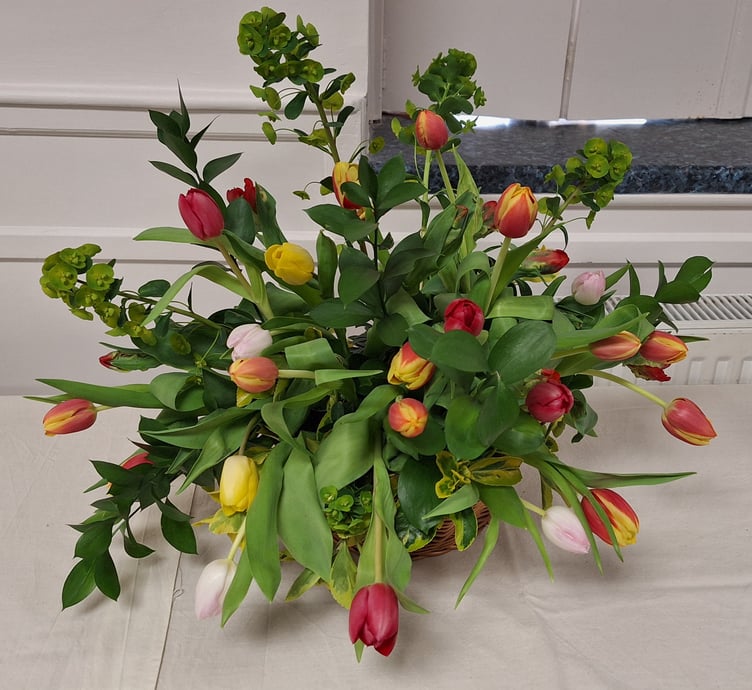 Twenty-four winning tulips in Bicknoller Spring Flower Show.