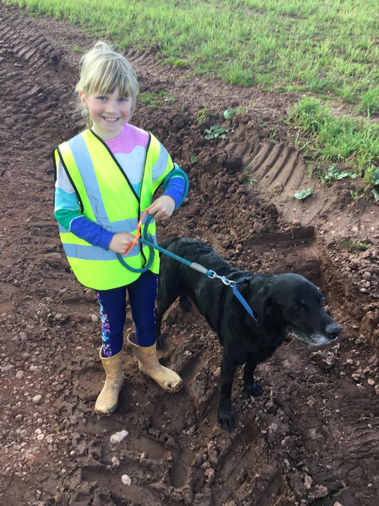 Therapy dogs from Langford Budville School joined in as the children took part in a sponsored walk.