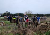 Enthusiastic young helpers brighten the day at Farnham Community Farm