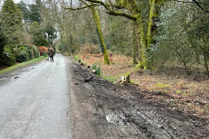 Neighbours and users of Bramshott Chase have complained tree and shrub clearance by the National Trust has exposed the local beauty spot to the constant rumbles, light and air pollution of the A3