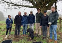 College helps fund hedgerow in Farnham Park to mark 50th anniversary
