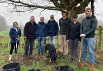 College helps fund hedgerow in Farnham Park to mark 50th anniversary