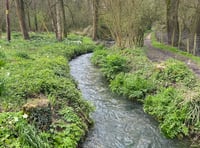 River Wey community water monitoring lab launched after sewage spills