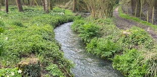 Children sick from swimming in river
