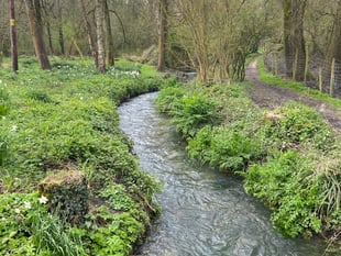 River Wey community water monitoring lab launched after sewage spills
