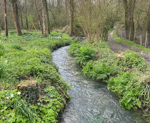 River Wey community water monitoring lab launched after sewage spills