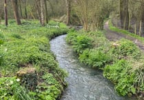 River Wey community water monitoring lab launched after sewage spills