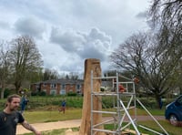 Incredible wood-carved statue beginning to take shape in town meadow