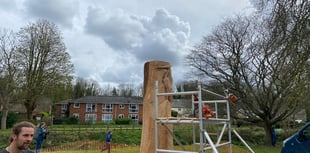 Incredible wood-carved statue beginning to take shape in town meadow