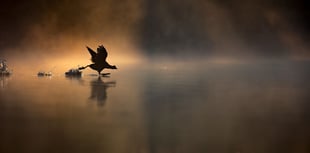 Stunning pond photo sees teen win Young Photographer of the Year prize