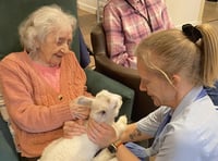 Surprise visit by a spring lamb brings joy to care home residents