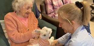 Surprise visit by a spring lamb brings joy to care home residents