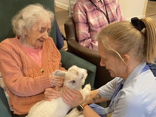 Surprise visit by a spring lamb brings joy to care home residents
