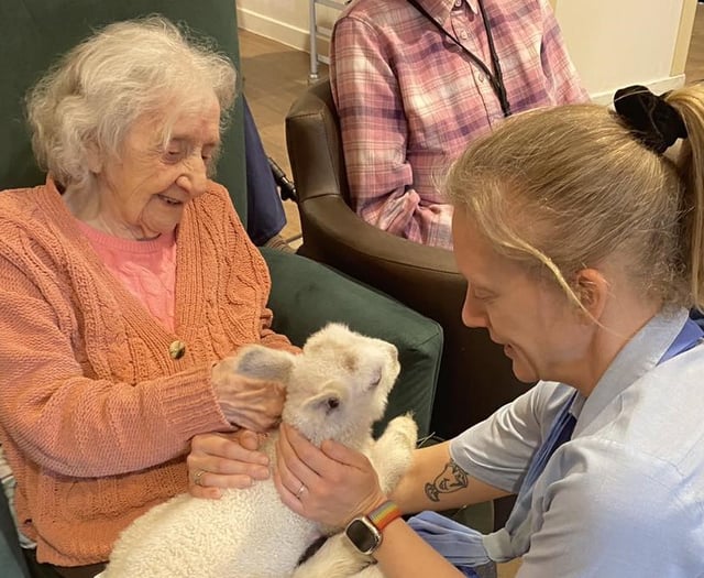 Surprise visit by a spring lamb brings joy to care home residents