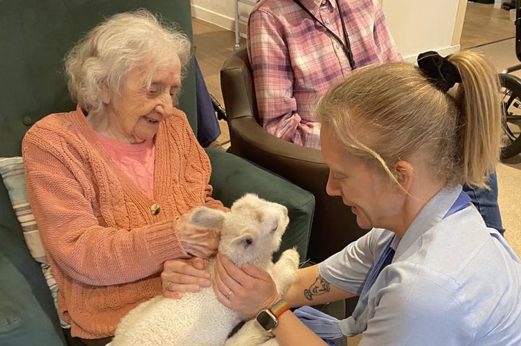 A Waverley Grange resident and staff member enjoy stroking a lamb.