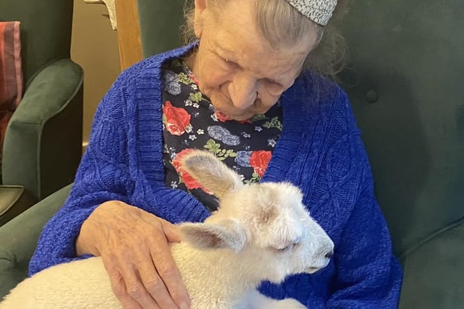 Resident enjoying a cuddle with a lamb.