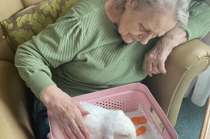 Resident getting up close with a rabbit.