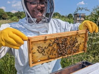 New Hive Helpers clubs and courses launched for bee lovers of all ages