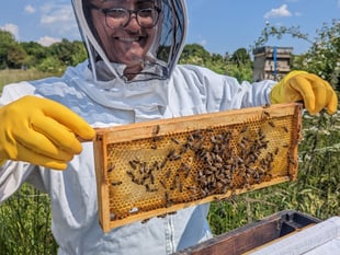 New Hive Helpers clubs and courses launched for bee lovers of all ages